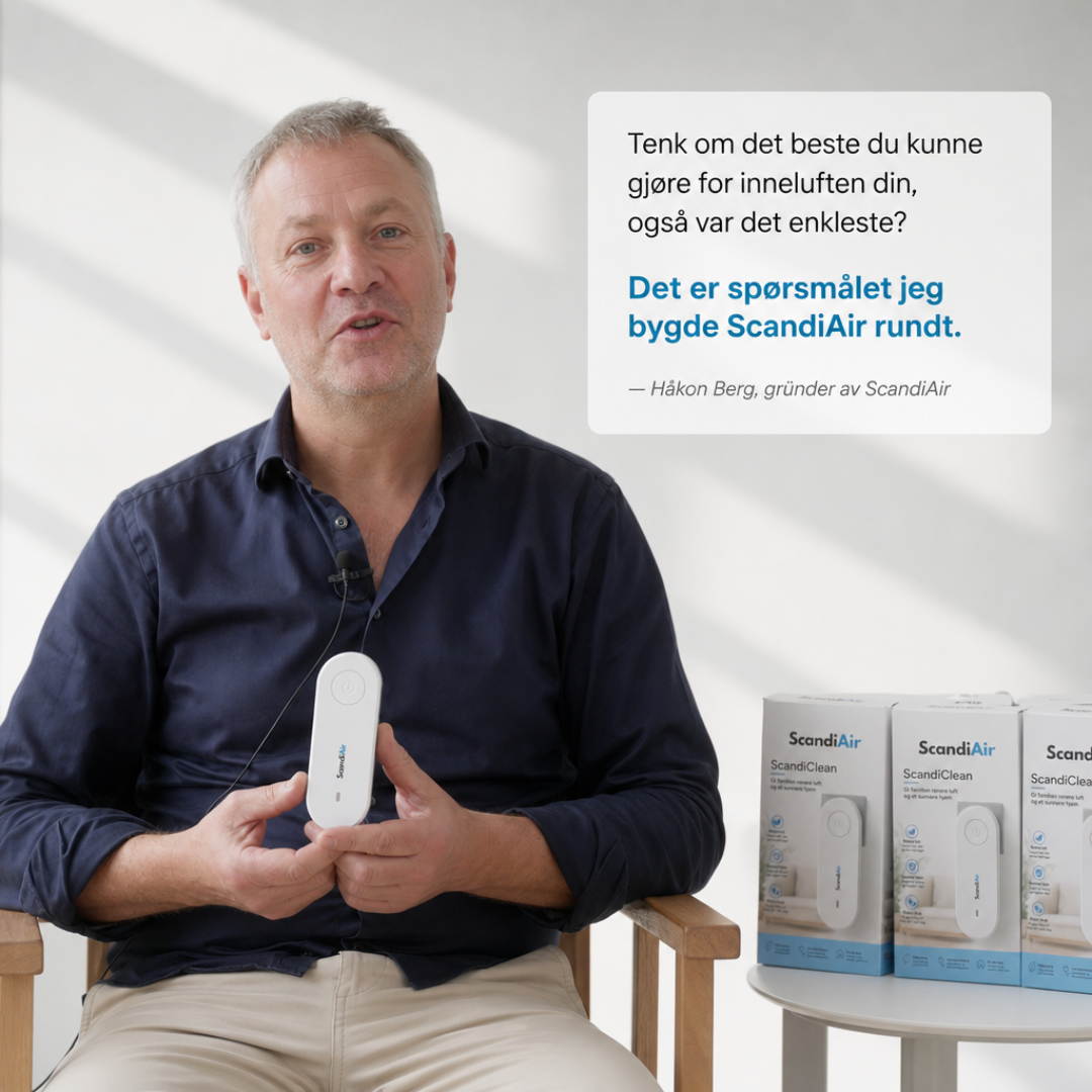 ScandiAir - Offrez à votre famille un air plus pur et une maison plus saine
